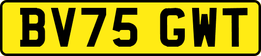 BV75GWT