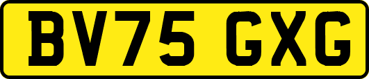BV75GXG