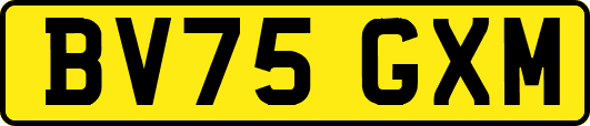 BV75GXM