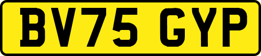 BV75GYP