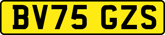 BV75GZS