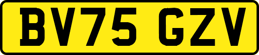 BV75GZV