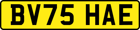 BV75HAE