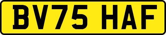BV75HAF