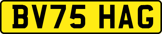 BV75HAG