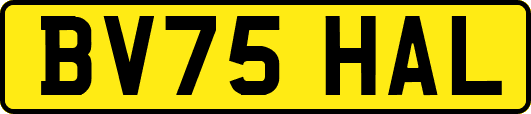 BV75HAL