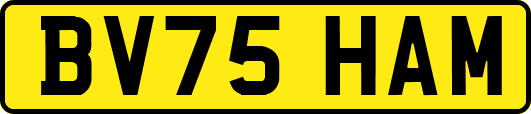 BV75HAM