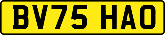 BV75HAO