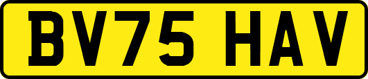 BV75HAV