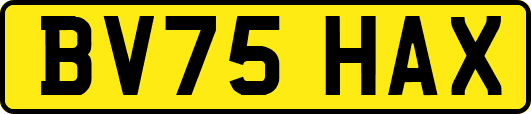 BV75HAX