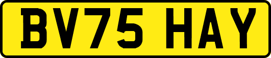 BV75HAY