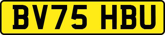 BV75HBU