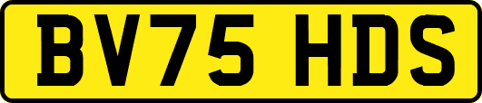 BV75HDS
