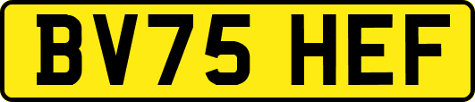 BV75HEF