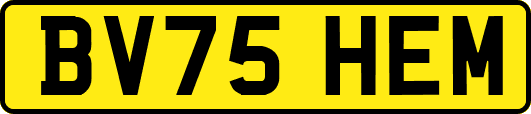 BV75HEM
