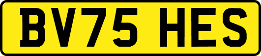 BV75HES