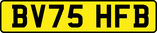 BV75HFB