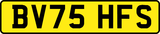 BV75HFS