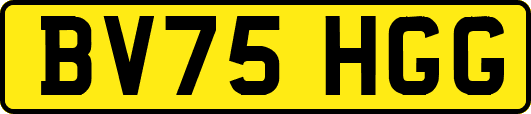 BV75HGG