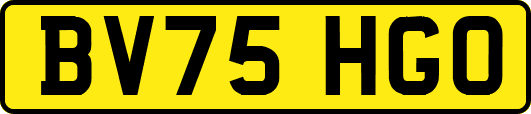 BV75HGO