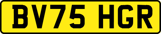 BV75HGR