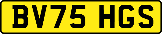 BV75HGS