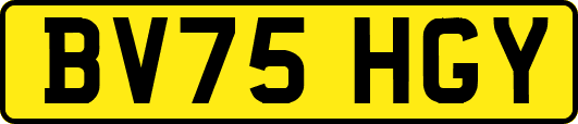 BV75HGY