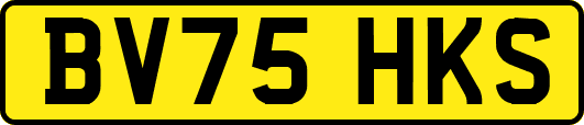 BV75HKS