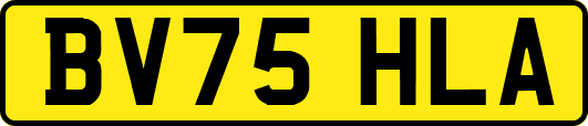 BV75HLA