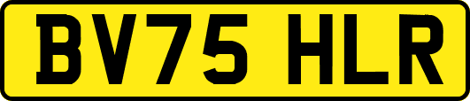 BV75HLR