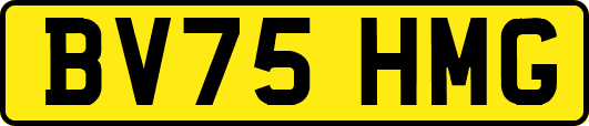 BV75HMG