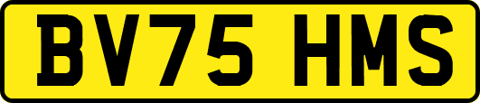 BV75HMS