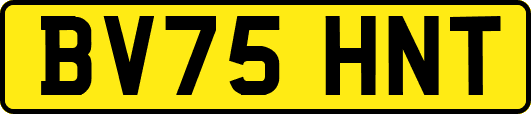 BV75HNT