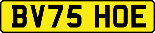BV75HOE