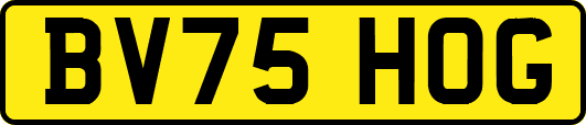 BV75HOG