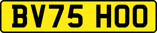 BV75HOO