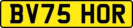 BV75HOR