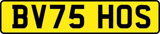 BV75HOS