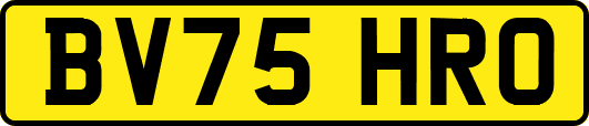 BV75HRO