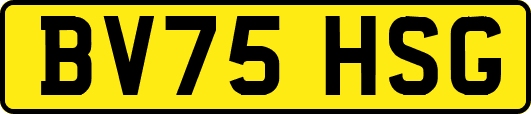 BV75HSG