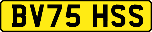 BV75HSS