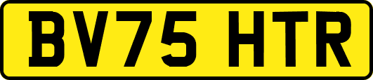 BV75HTR