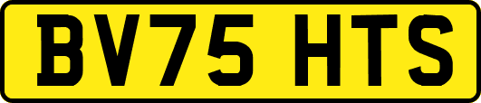 BV75HTS