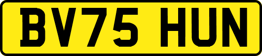 BV75HUN