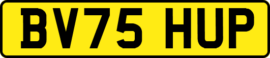 BV75HUP