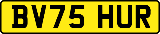 BV75HUR