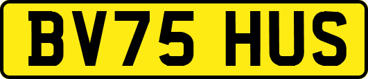 BV75HUS