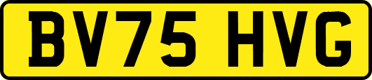 BV75HVG