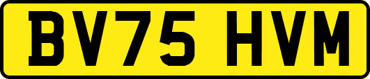 BV75HVM