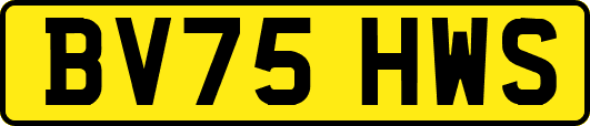 BV75HWS